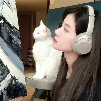 一善心光